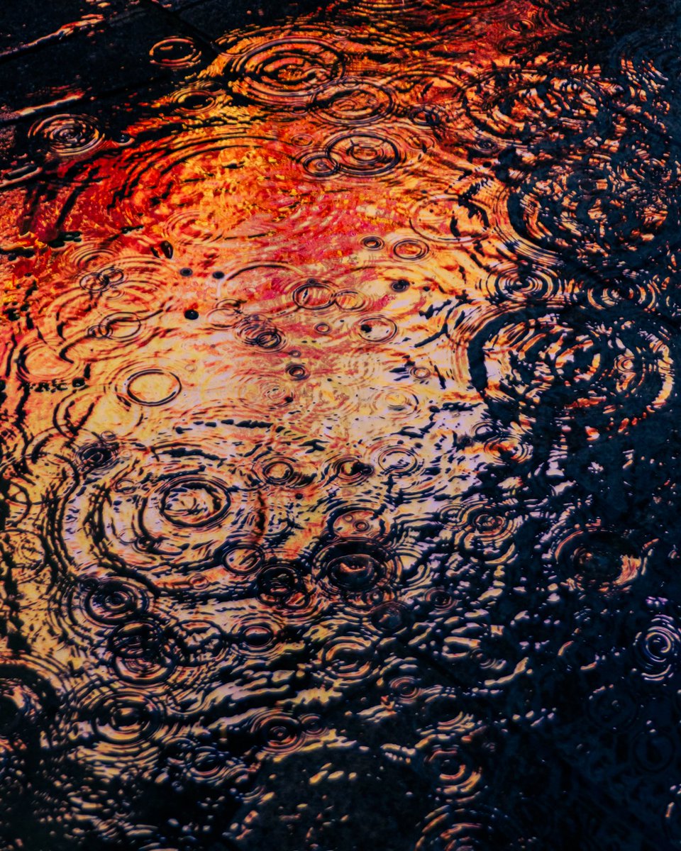 i_dauyu's tweet photo. 雨とネオンが生み出すアート https://t.co/Nj5DykQIr3