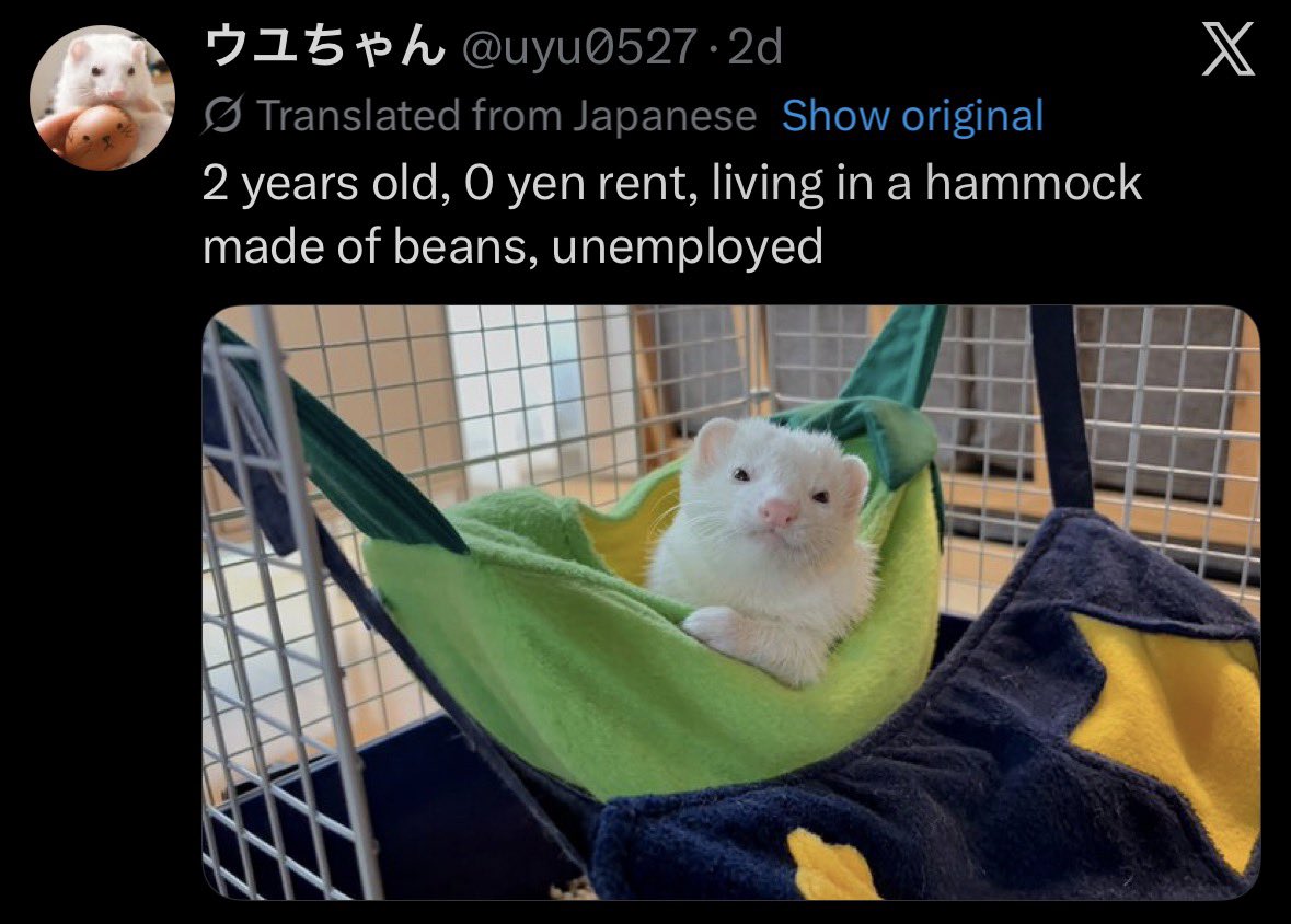 ominous sphere tweet media