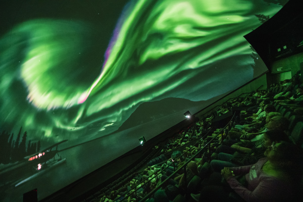 CACiencies's tweet photo. 🌍Celebramos el #DíaDeLaTierra explorando sus maravillas: desde las profundidades de #OceansCAC pasando por el cielo mágico de #AurorasLucesdelNorte, hasta la diversidad de #AnimalKingdom

¡Pura inspiración para proteger nuestro planeta!

🎦#Hemisfèric https://t.co/HdU9Qh2kCy