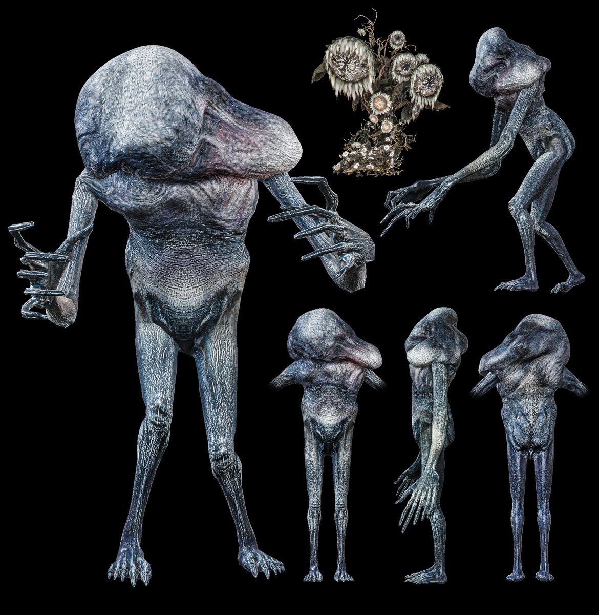 ずろ❄️Zlofsky tweet media