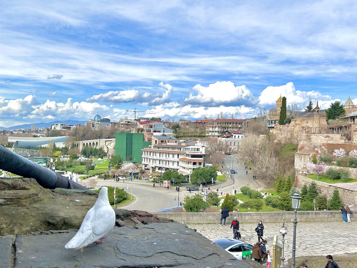 MiyanononozoMi's tweet image. ハトから見た景色🕊️

ここもジョージア、メテヒ教会⛪🇬🇪
1500年の歴史も別アングルで見るとまた違う
#Georgia #Tbilisi