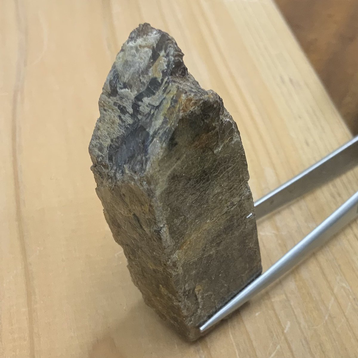 GemsWqh's tweet photo. スリランカからの新着ストーン🇱🇰✨

珍しいスリランカ産の原石が入って来ました🫣

スリランカ・オッカムピティア産　コバルトスピネル
スリランカ産　ジルコン
スリランカ産　クリソベリル
スリランカ産　トルマリン

石ふしぎ大発見展にて、展示いたします😊
原石の神秘を感じてくださいね✨ https://t.co/03oZQ0it3y