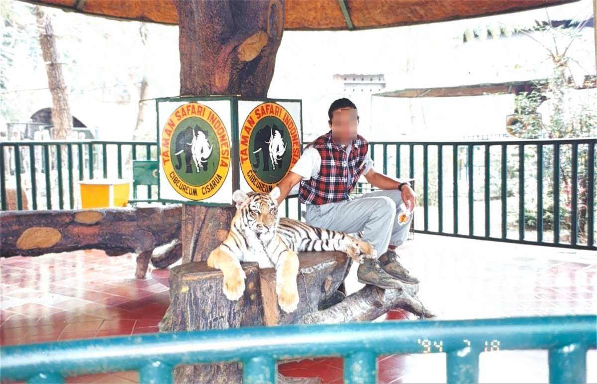 正気の沙汰ノペルカも金次第 tweet media