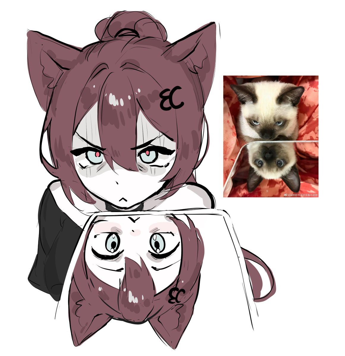 eternalchann's tweet photo. mew neko nya https://t.co/DITEq6XQwx