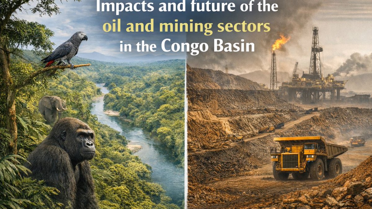 LeeJTWHITE's tweet photo. In my latest article, I highlight a few of the key reflections from my chapter on the impacts and future of the oil and mining sectors in the Congo Basin that has just been published in the Science Panel for the Congo Basin 2025 report. 

Authored with fellow scientists Pascal Mambwe Matanda, PhD, Bila-Isia Inogwabini, industrialists Kumar Mohan and Ivor Ichikowitz, this chapter looks at the sectors and considers their role in the future, be that positive or negative.

https://t.co/AKBJKCiEeK