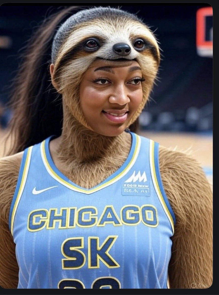 scotty shipp tweet media