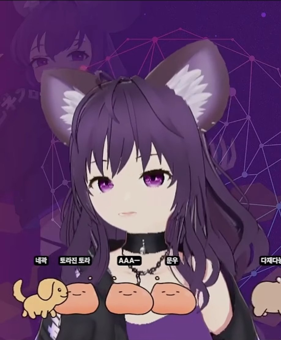 동면쥐 ☕️🐭 tweet media