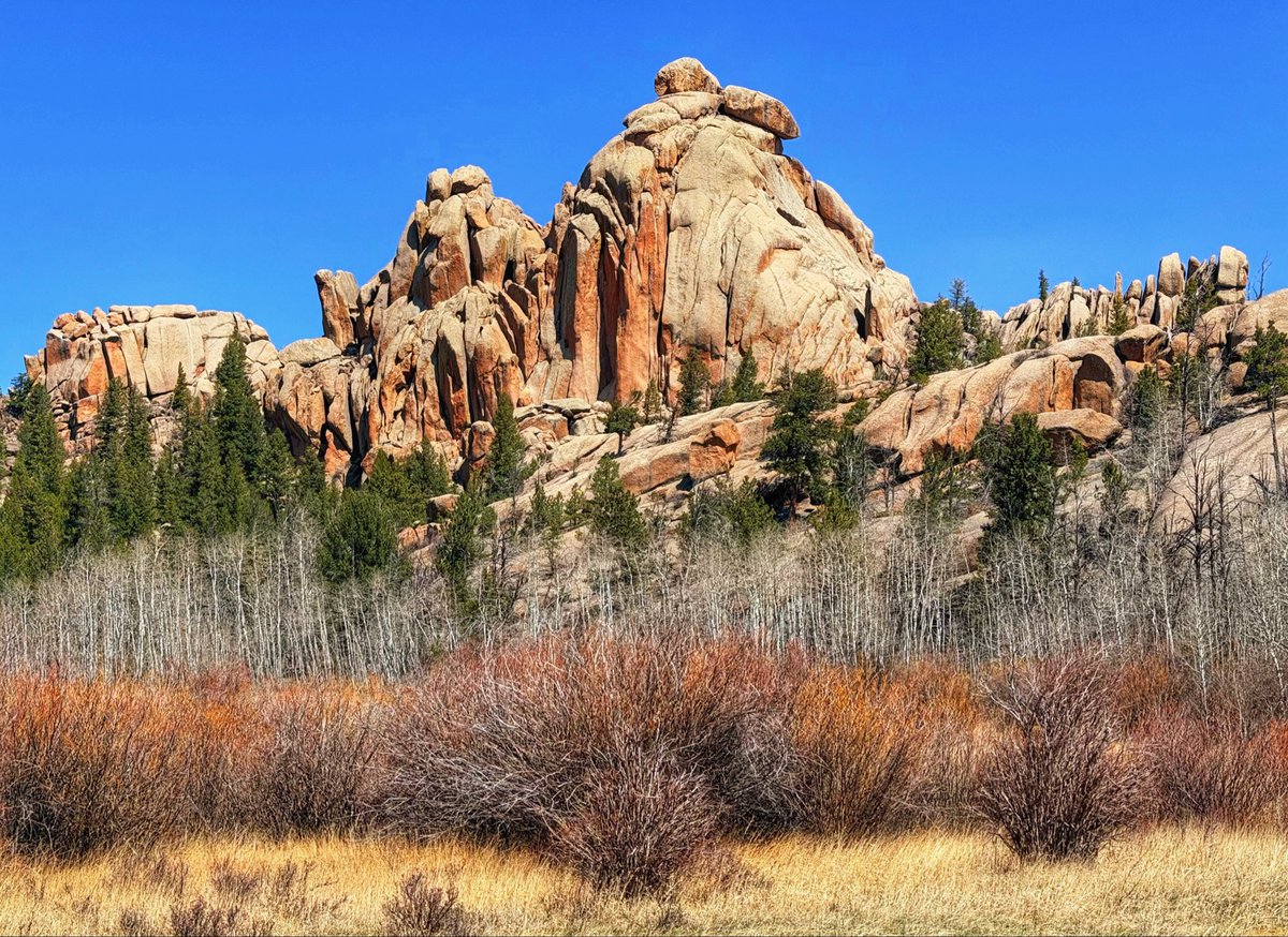 D Miller tweet media