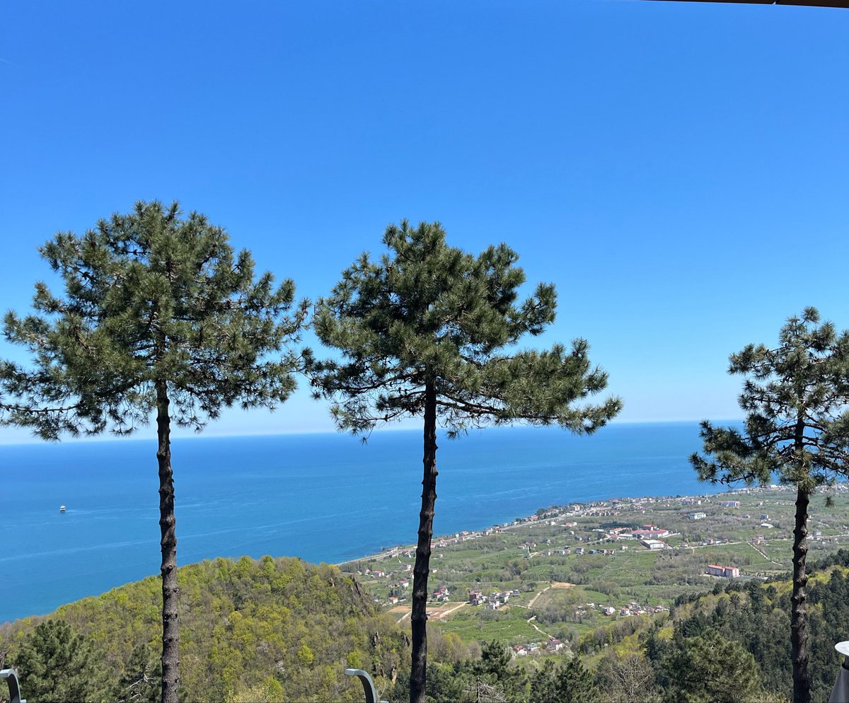 Marlboro Edge tweet media