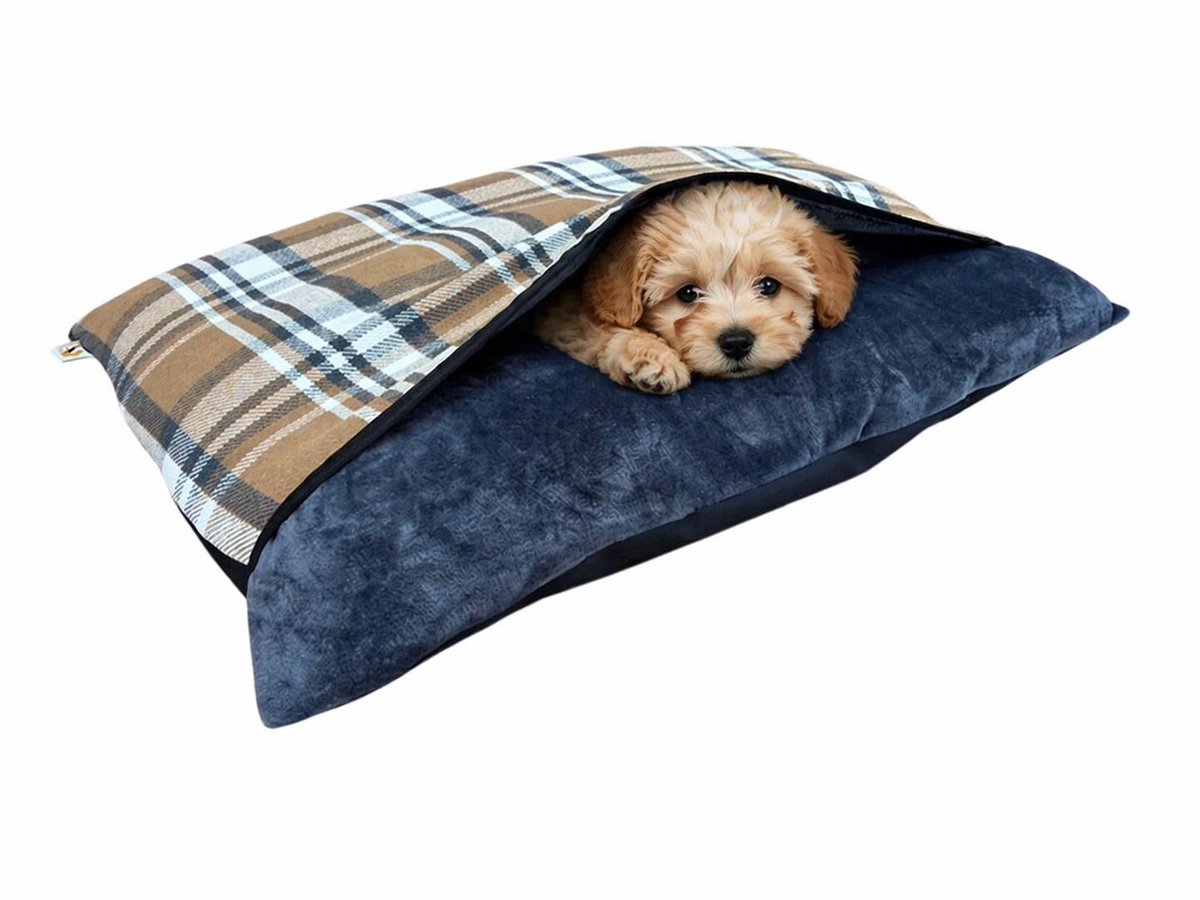 petnhome's tweet image. Some pets find real comfort in burrowing, tucking themselves under a blanket and feeling sheltered 🐾

Find our range of Burrow Beds here; petnhome.co.uk/pet-categories…

#MHHSBD #burrowingdogs #dogsofX #cavebeds #burrowbeds #antianxiety #calmingnest #washable #teddyfleece #comforting