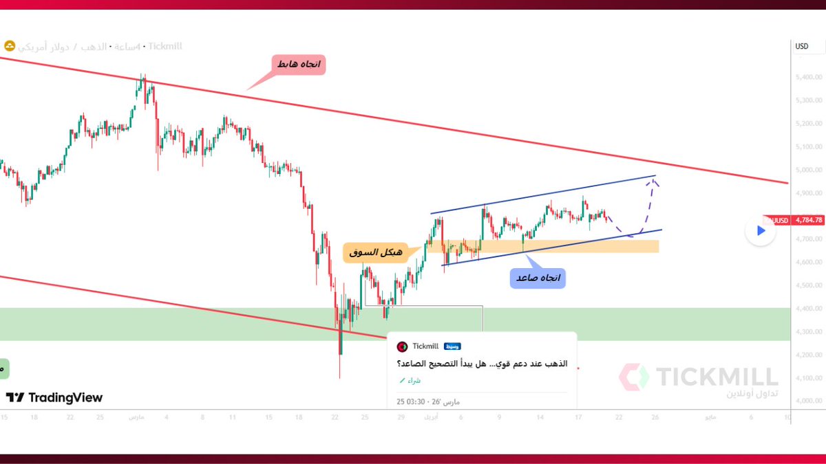 Tickmill Arabia tweet media