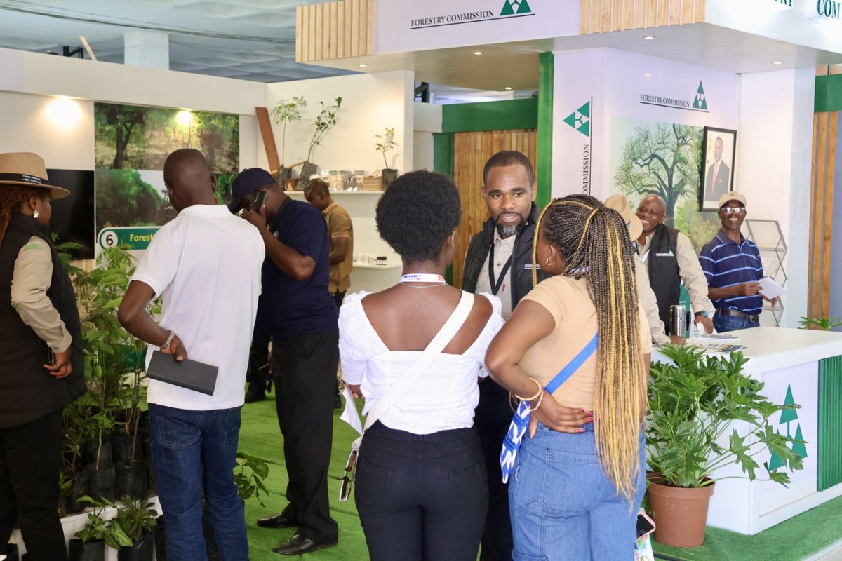 Forestry Commission Zimbabwe tweet media