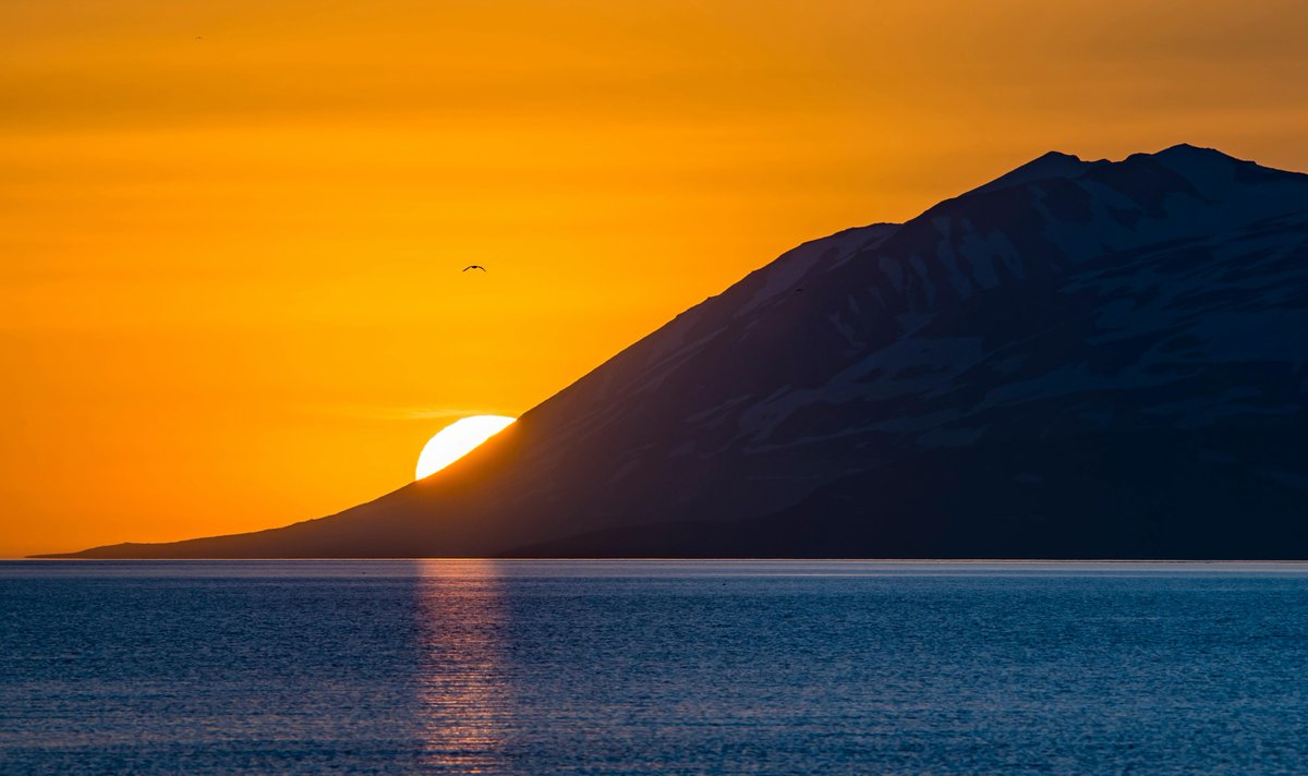 jmadmart's tweet image. the first 
smile

to start 
the day 

playing 
peek-a-boo 

#GoodMorning #GoodMorningX #sunrise #sunset #nature #poetry #photography #beauty #poems 
📸Gylfi Gylfason