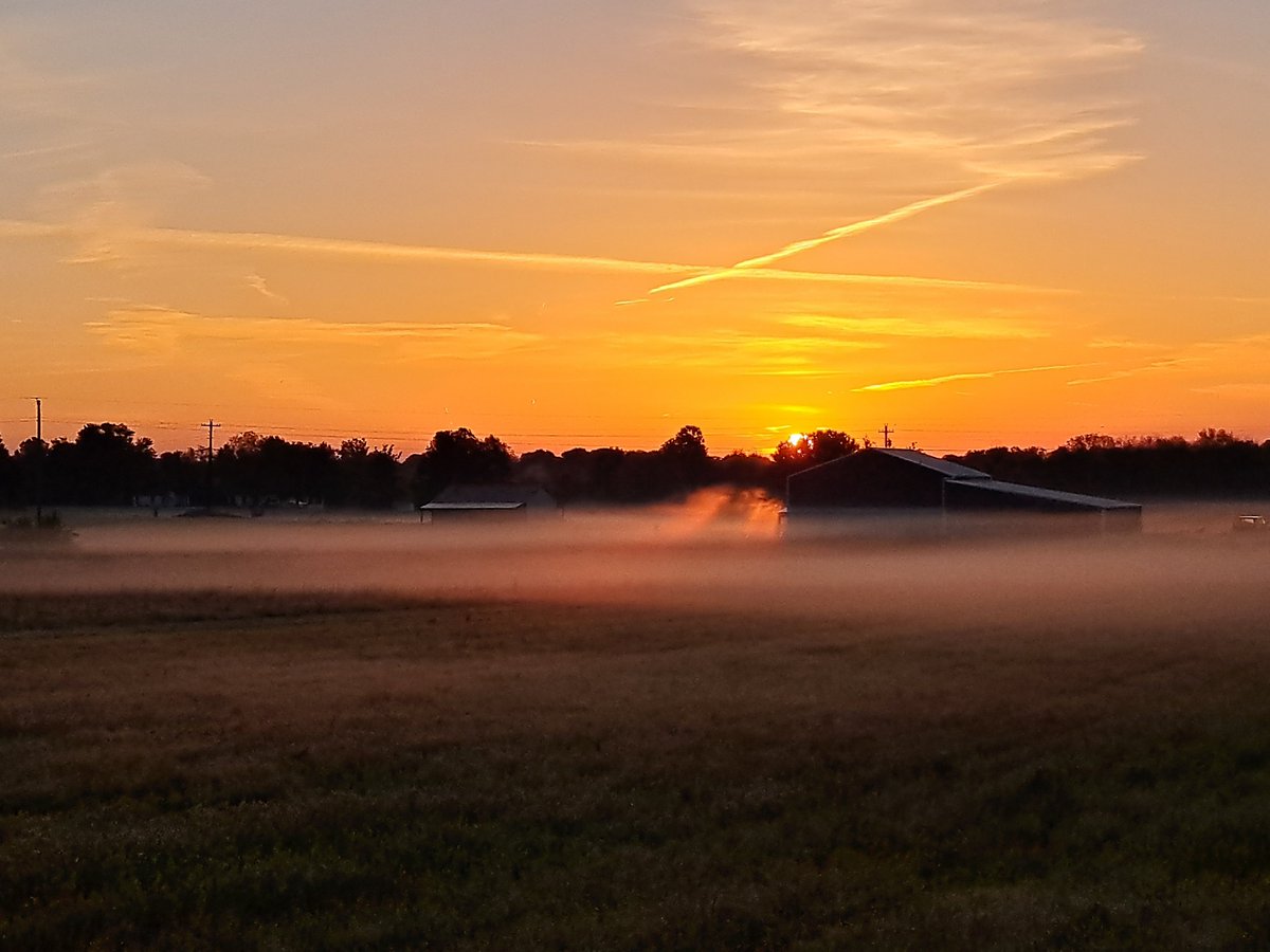My little farm this morning. Out on a walk with the dogs