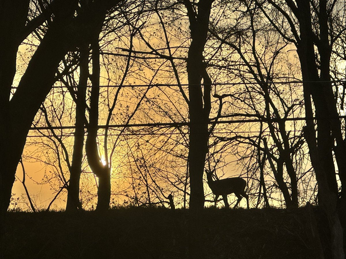 Midnighttwin tweet media