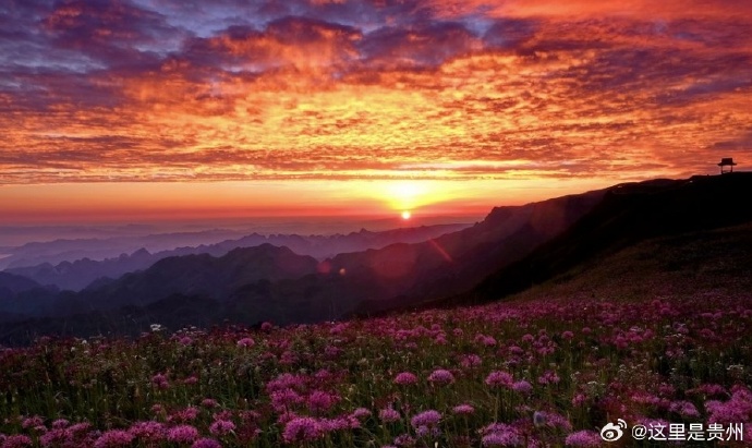 loverboyjesse13's tweet image. "Stepped out of my comfort zone, faced the fear, crushed the challenge. Today’s win Proof small steps turn 'I can’t' into 'I DID.'  #GrowthMindset #ChallengeAccepted"