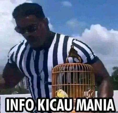 Raven⁺‧ C6R1 Flins haver!! tweet media