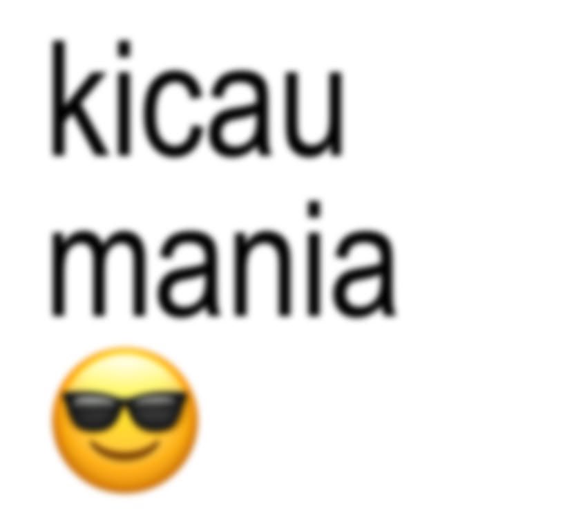 Raven⁺‧ C6R1 Flins haver!! tweet media