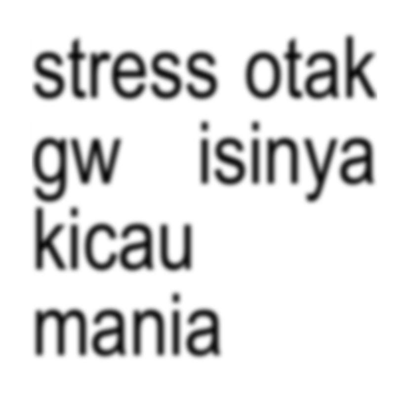 Raven⁺‧ C6R1 Flins haver!! tweet media