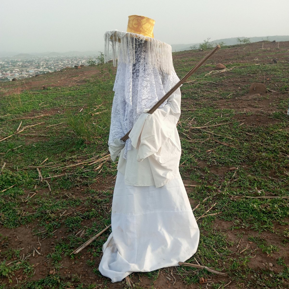 Oracle of God 💚 tweet media