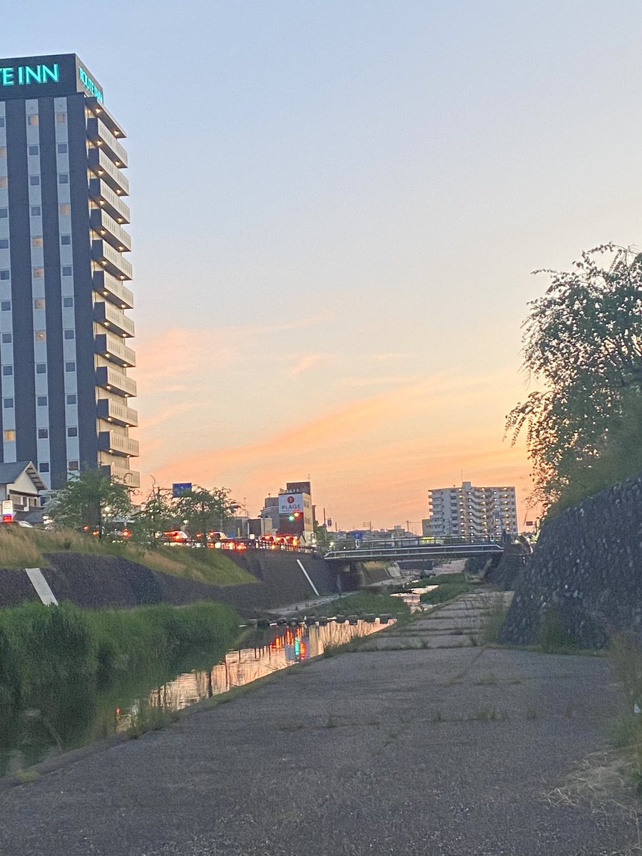 つかさ☂️⛱️🏳️‍🌈🏳️‍⚧️🇵🇸 tweet media