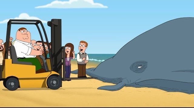 kevkleinkreutz's tweet image. Ich hätte da eine Idee 
#timmy #hope