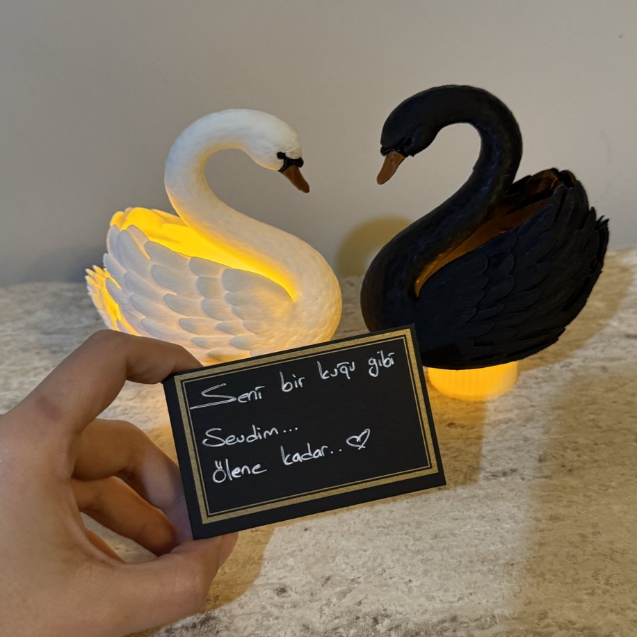 SemoraStor1404's tweet photo. "Şu deli başıma bin dert olsan,
bin dermana degişmem seni.
Sen bende çok farklı mevzusun
öyle de kalacaksın." notu ile alınan Kuğu 🥹🦢🫶🏻 https://t.co/4Xg5Jb0K6I