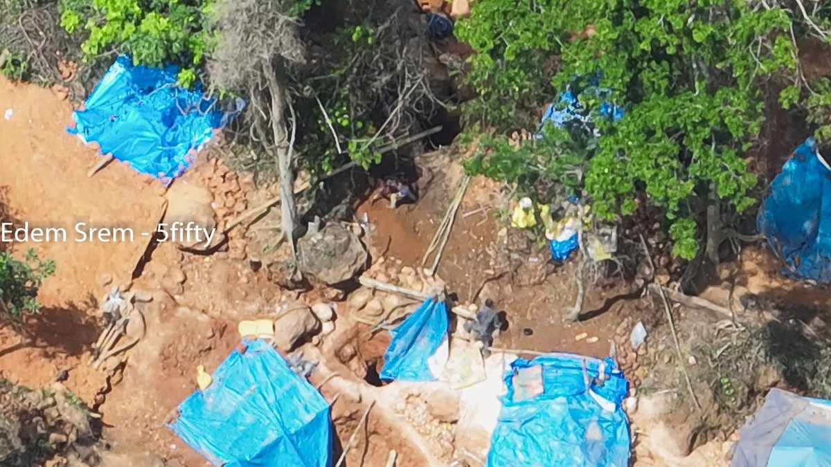 Afrikanticha3's tweet image. Disturbing: Galamseyers have besieged the Atewa Forest building tents in the middle of the forest and mining unabated.