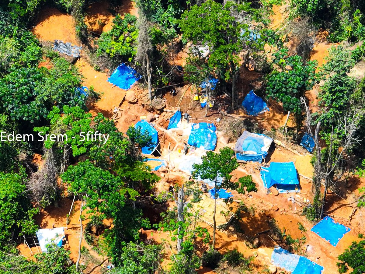 Afrikanticha3's tweet image. Disturbing: Galamseyers have besieged the Atewa Forest building tents in the middle of the forest and mining unabated.