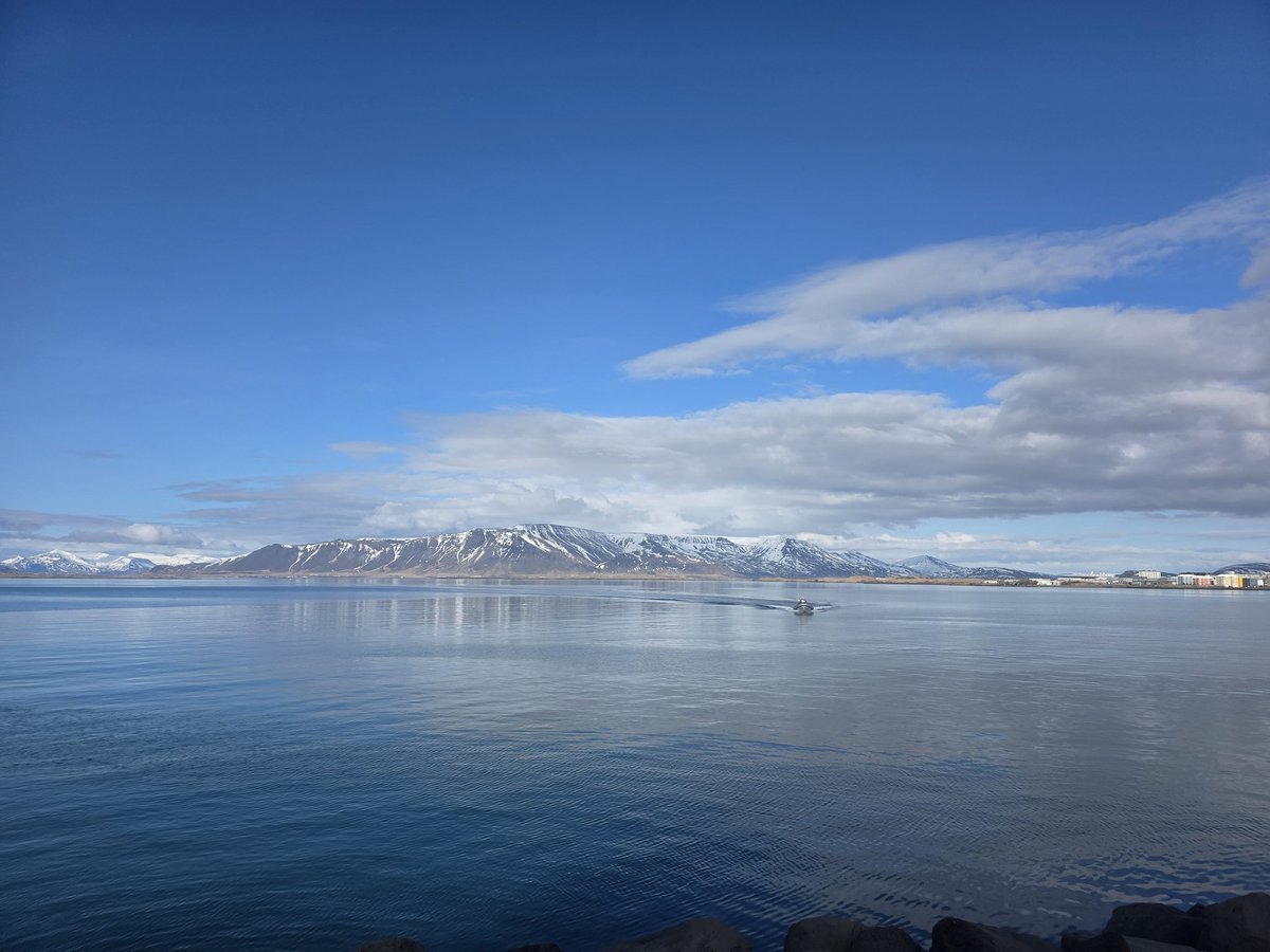 DJDirrtyDogg's tweet image. I have fallen in love with iceland and the icelandic people. More than any other country ive been to. Never thought id say that about a place id never wanted to go previously.

100% will be going back again!

#iceland #traveller #travelling #love #holiday