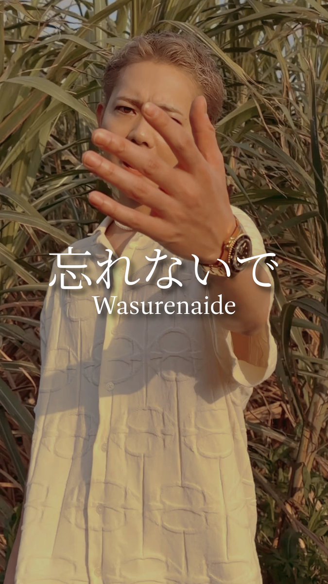 シシノオドシ / SHISHINOODOSHI tweet media