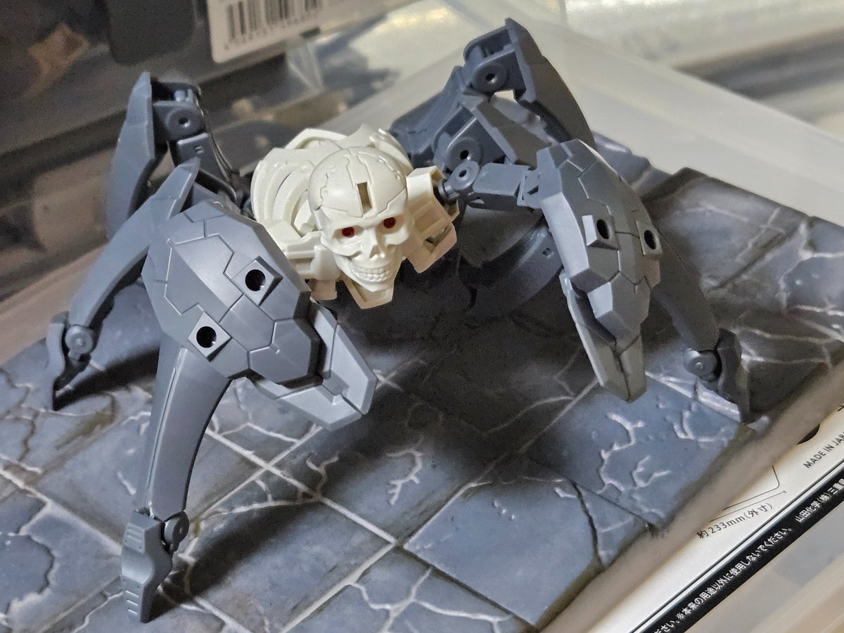 ま だ お 𓁍 tweet media