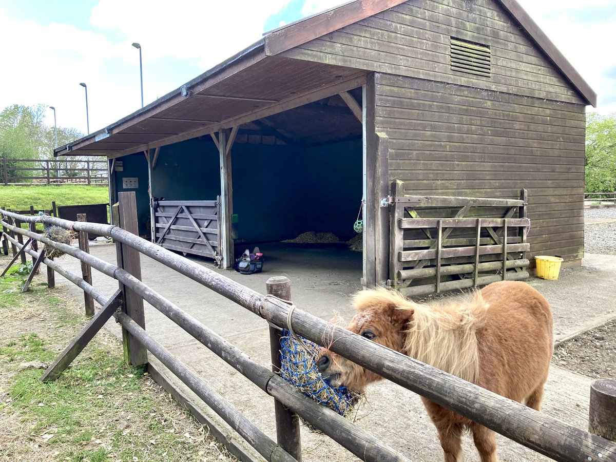 Nathan_Hartley_'s tweet image. Great to visit The Avon Centre in northwest #Bristol today 👍 

As part of the Riding for the #Disabled Association, the organisation provides support for people living with disabilities across the region. 

A huge thanks to Claire for giving me a tour of their facilities 🐎