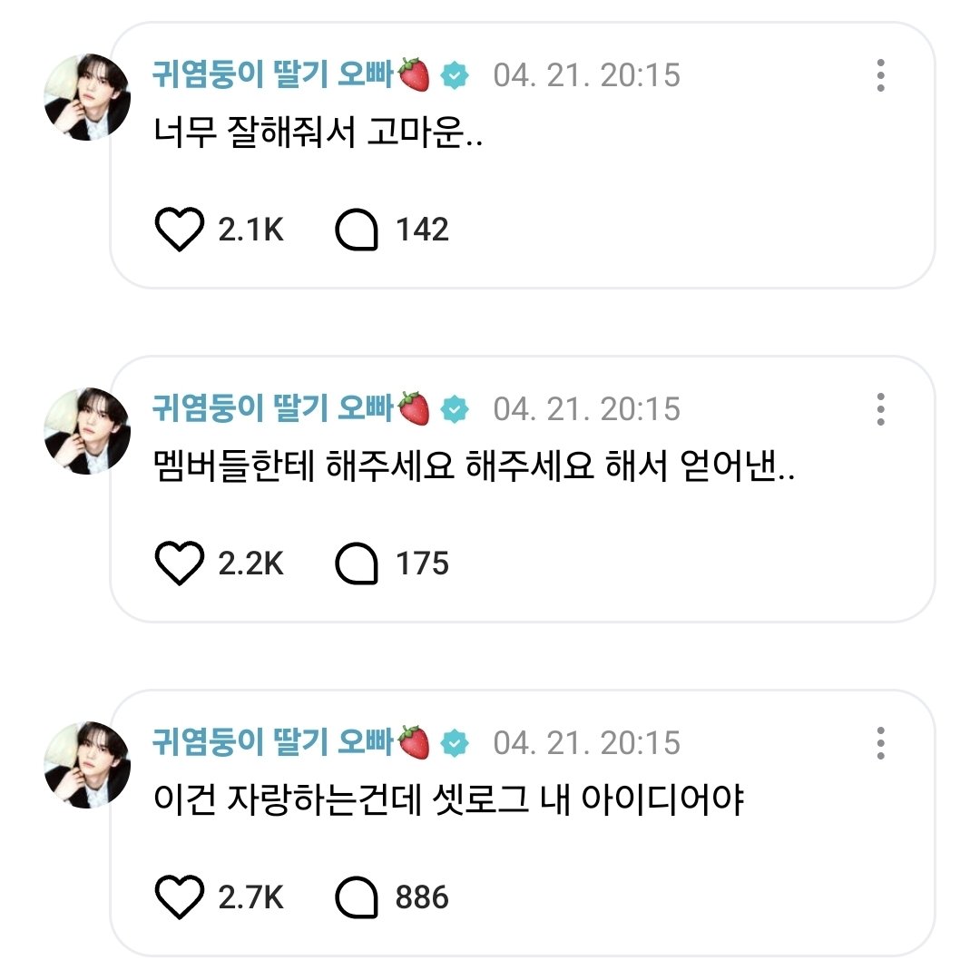투어수집이 tweet media