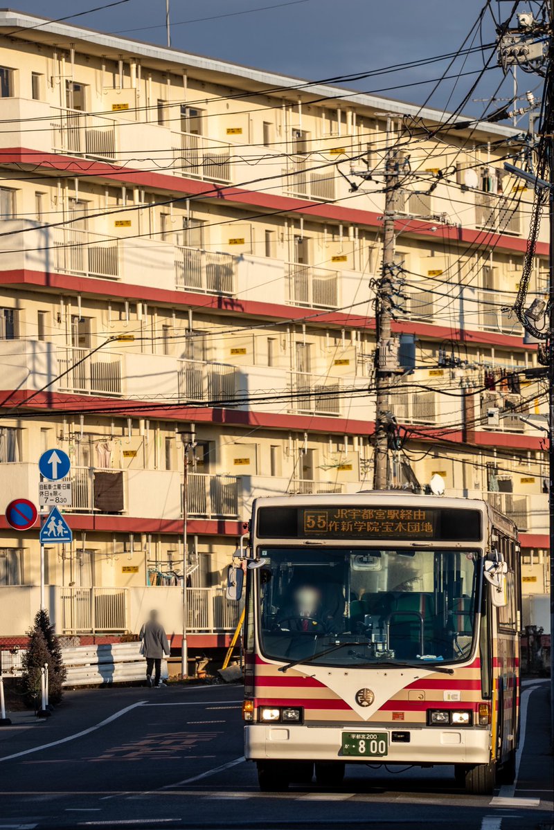 あかべえ tweet media