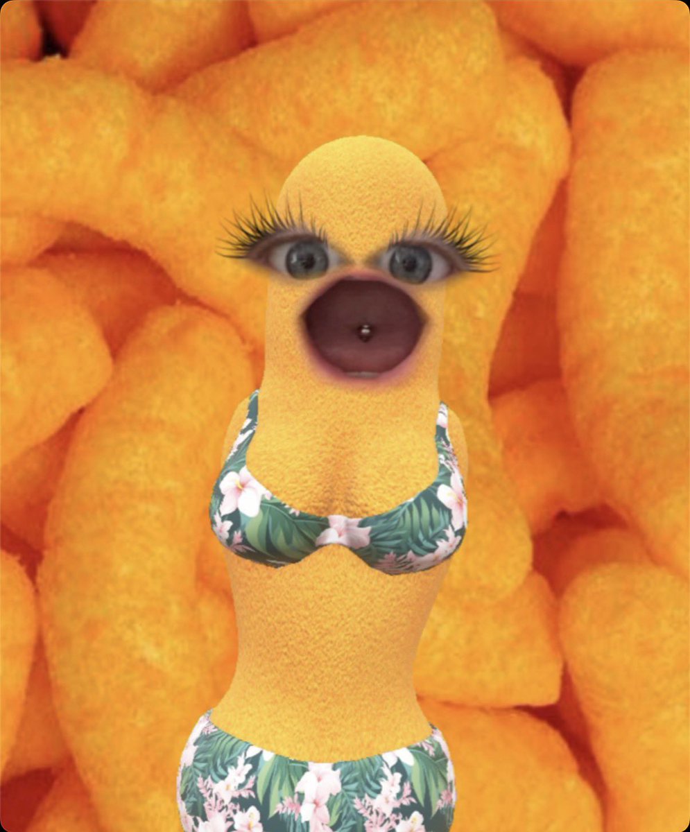 Sam Star HQ ⭐️ tweet media