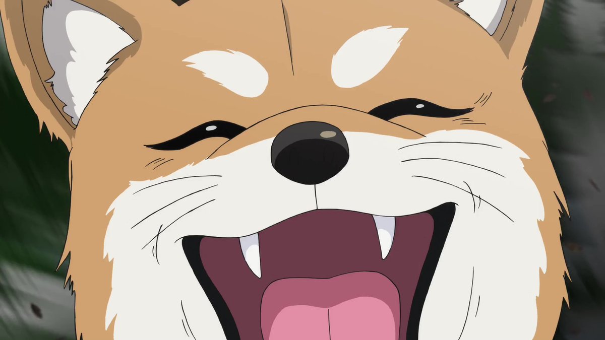 ガルパン「もっとらぶらぶ作戦」第4幕で
遂に西住犬が「ワン」と吠えたことで声優さんも付いたんですけど(CV:景浦大輔氏)、
これってガルパンファン界隈激震のニュースだよなって思います。