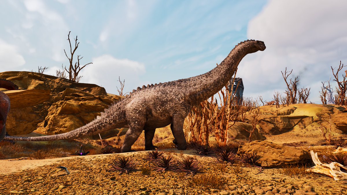 ソロモン tweet media