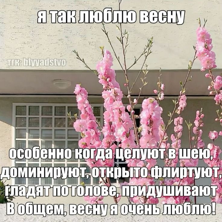 ПУССИ РАЙОТ ИЗ ДЕТСАДА 😈 за фемдом tweet media