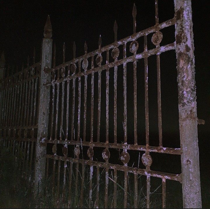 Kyrie. tweet media