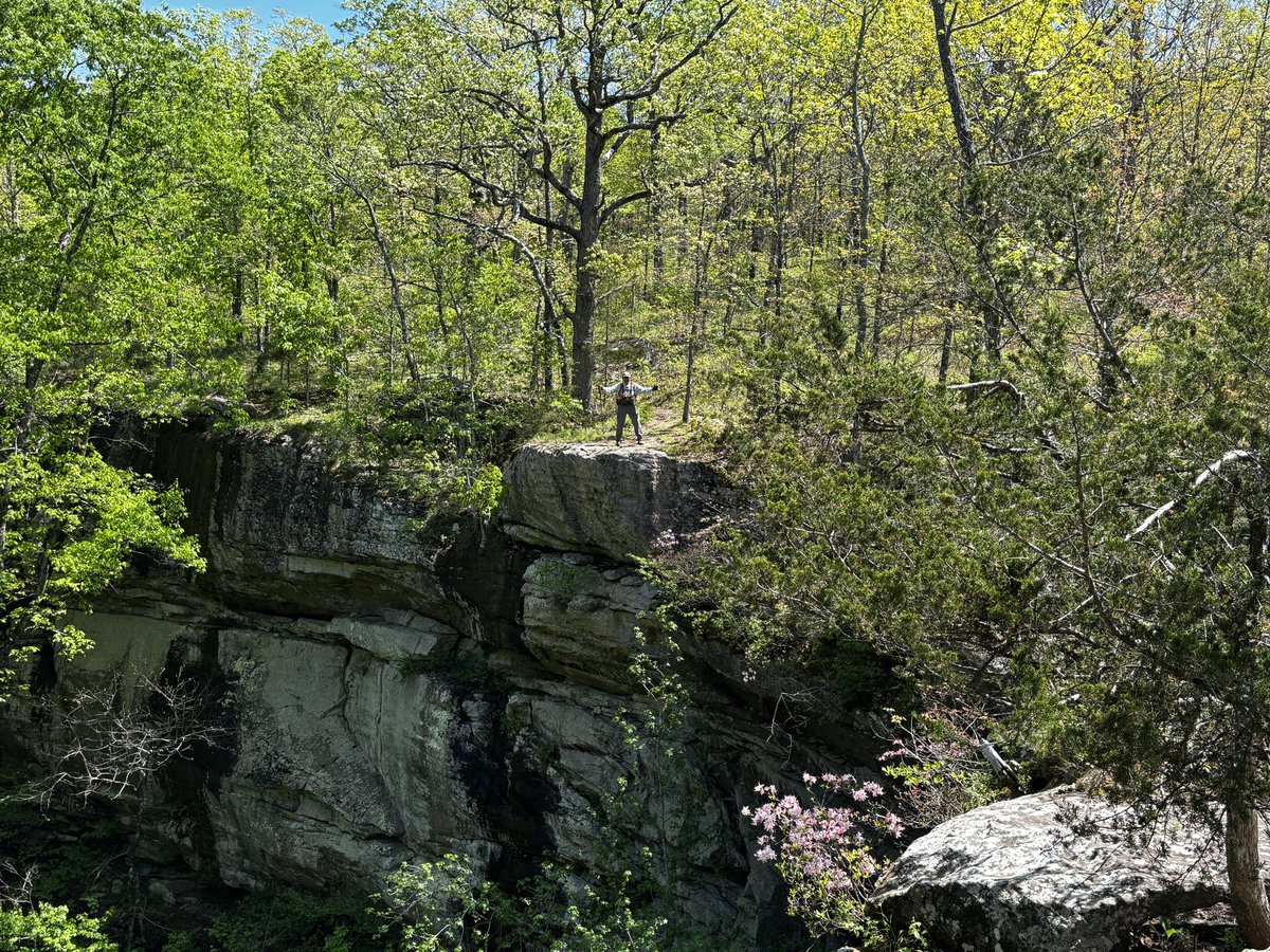 cruzzeroutdoors's tweet image. Sweden Creek Falls trail in NW Arkansas , off highway 21 on top of Kingston Mtn. The Spring weather was great . April 20th, 2026 #gohiking #discovernature #discoverarkansas A body in motion stays in motion. Get to the out there.