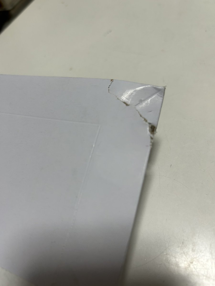 まきそば❤️🤎🌻 tweet media