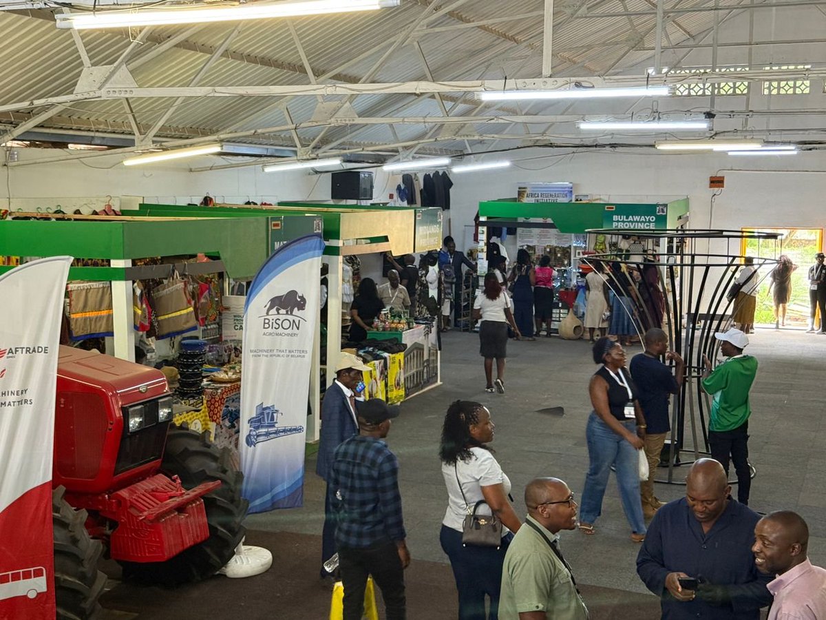 ZimPulse tweet media