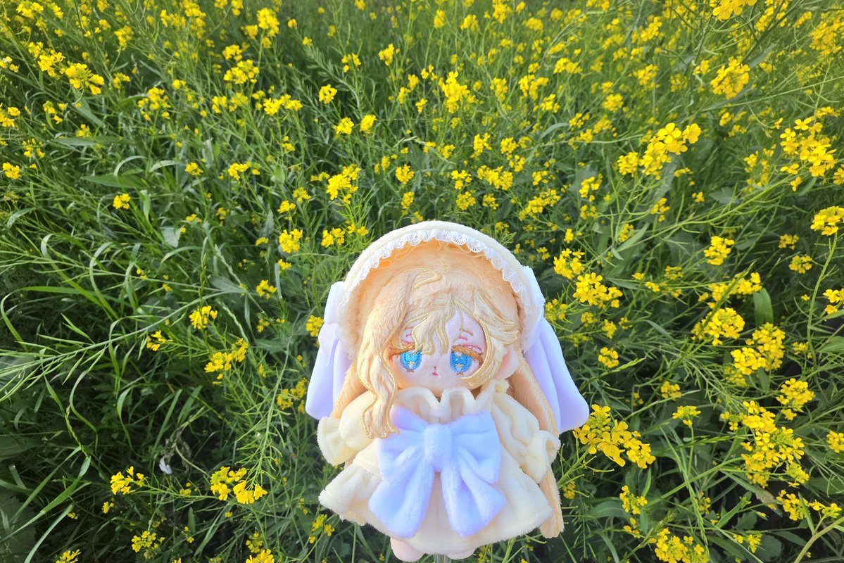 따사로히 tweet media