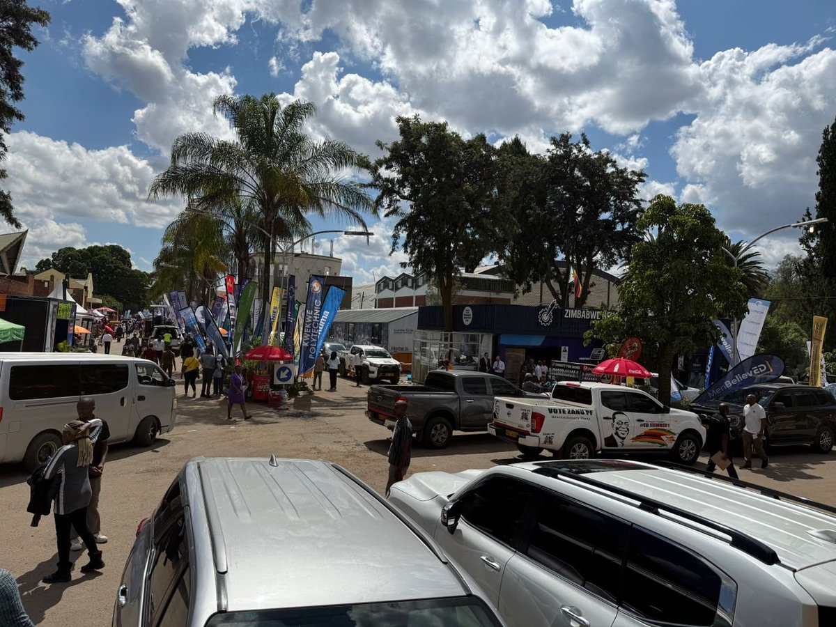 ZimPulse tweet media