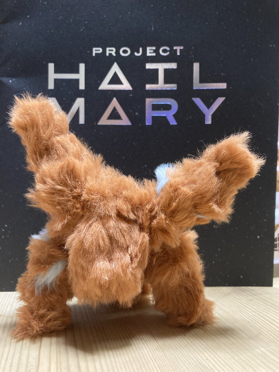 Obake_pajamas's tweet photo. モールで作ってみました
もこもこロッキーです
#プロジェクト・ヘイル・メアリー 
#projecthailmary https://t.co/y2KnzjkLve