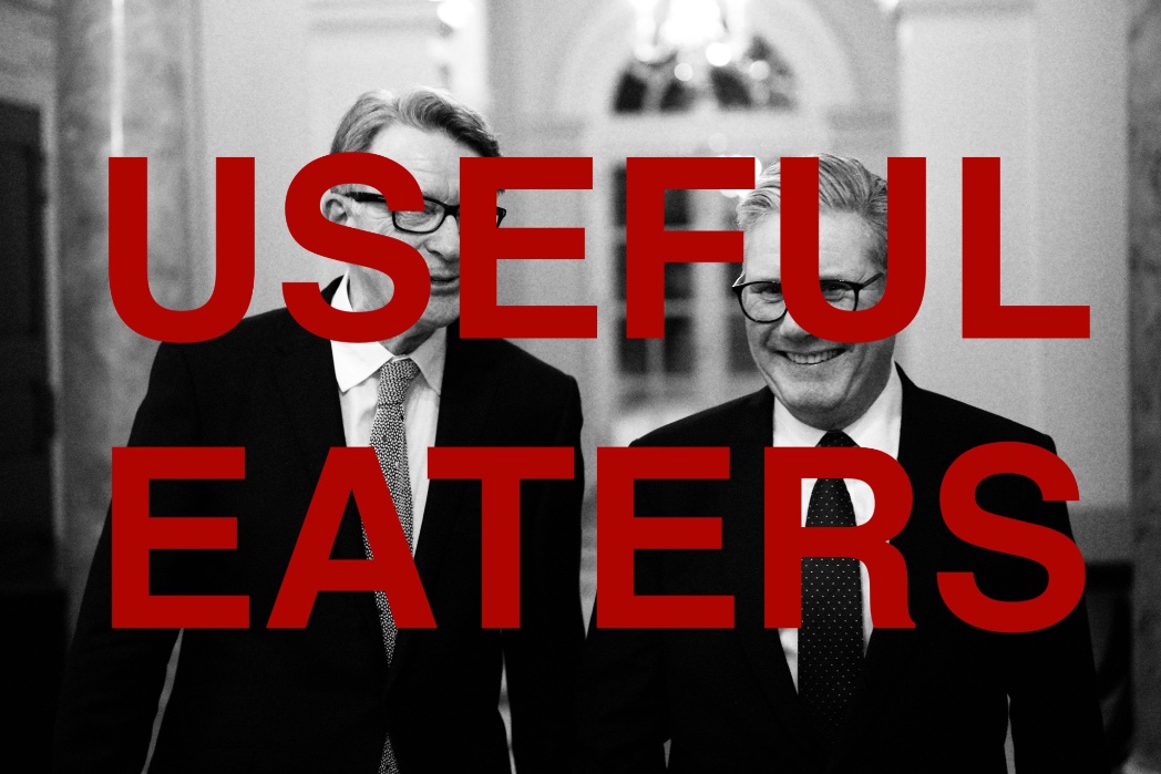 David MacMaster 🔻💚💙дети🍉 🐸 tweet media