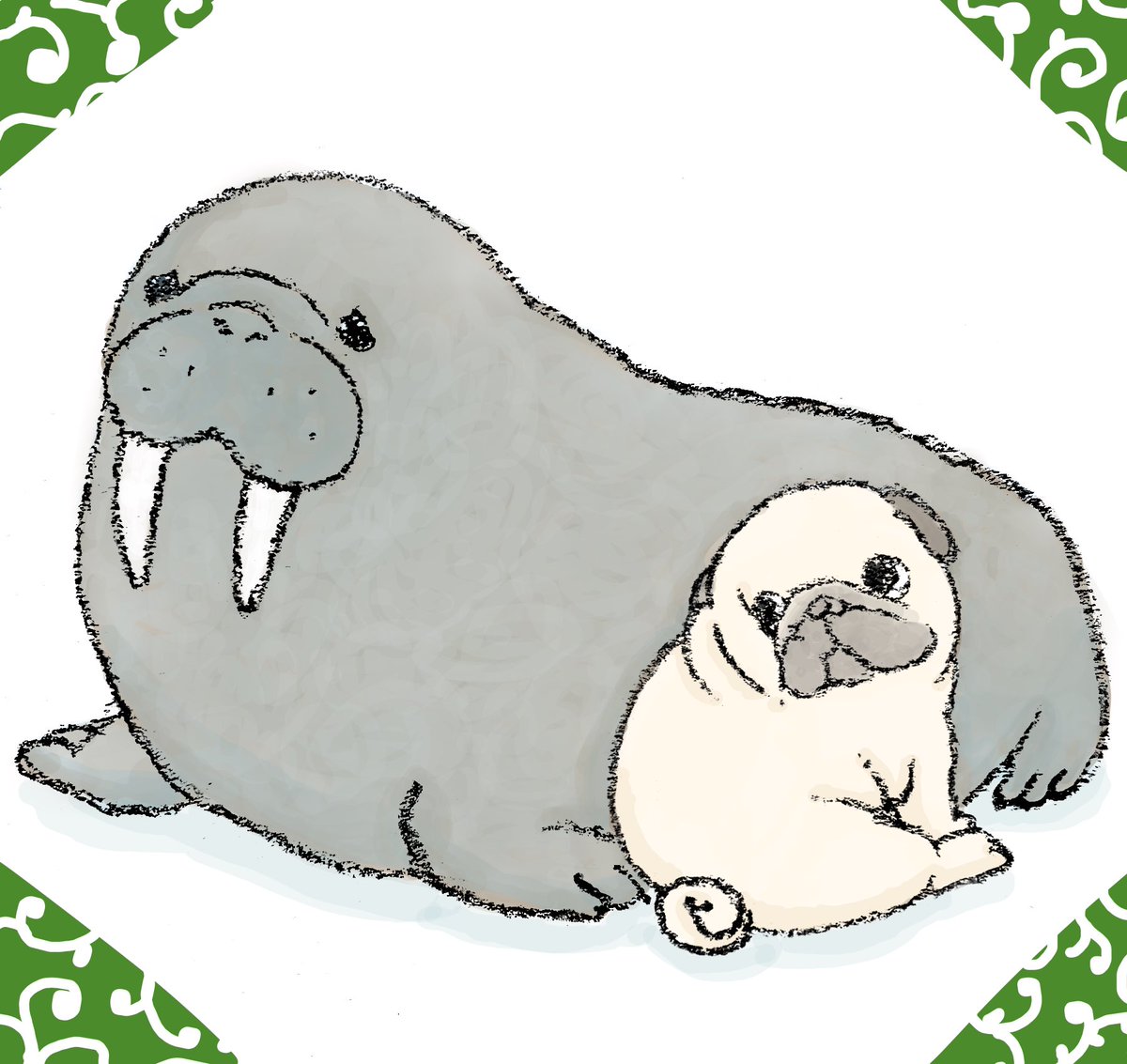 ハナちゃん tweet media