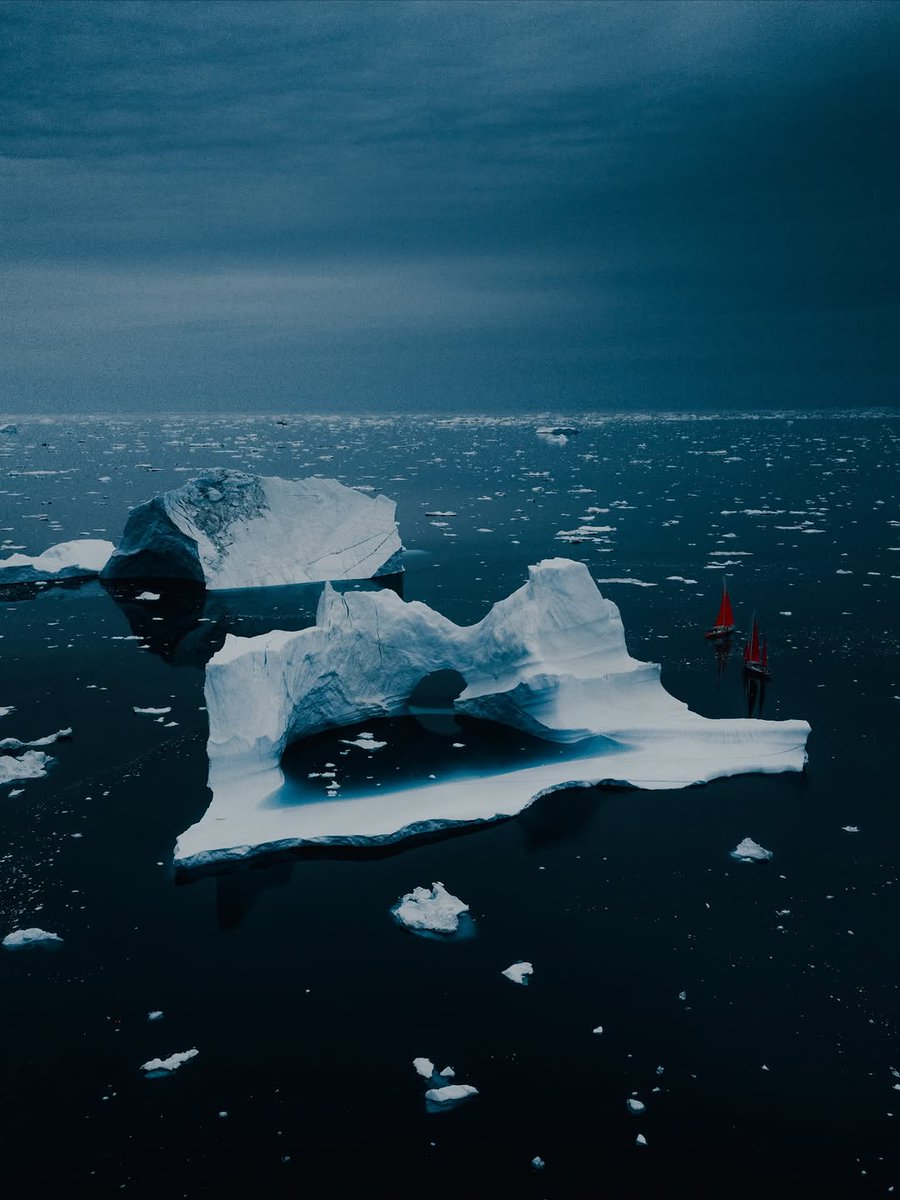 𝘄𝗮𝗻𝗱𝗲𝗿𝘁𝗿𝗮𝘃𝗲𝗹𝘀 tweet media