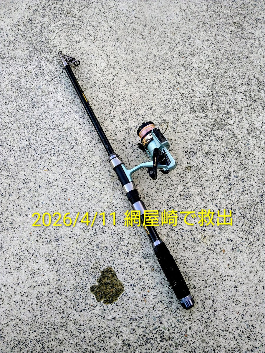 海釣りGO⚓️安良里漁港 | 釣果速報 tweet media